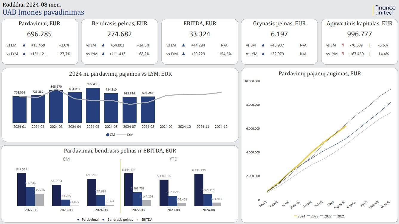 Finansinė ataskaita premium